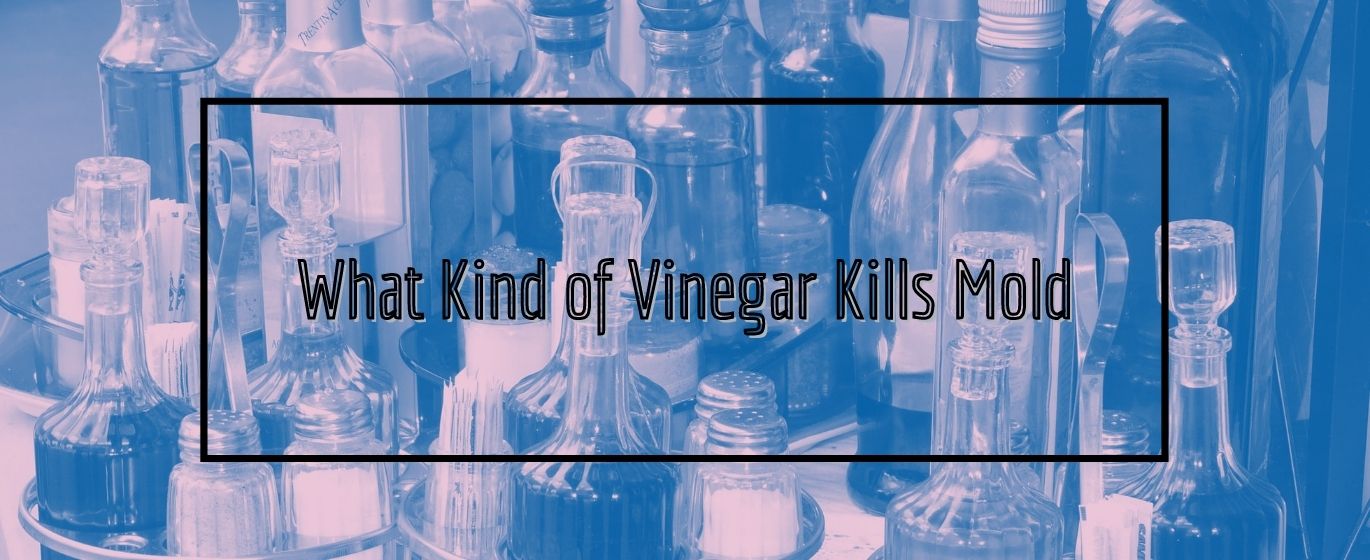 What Kind of Vinegar Kills Mold?