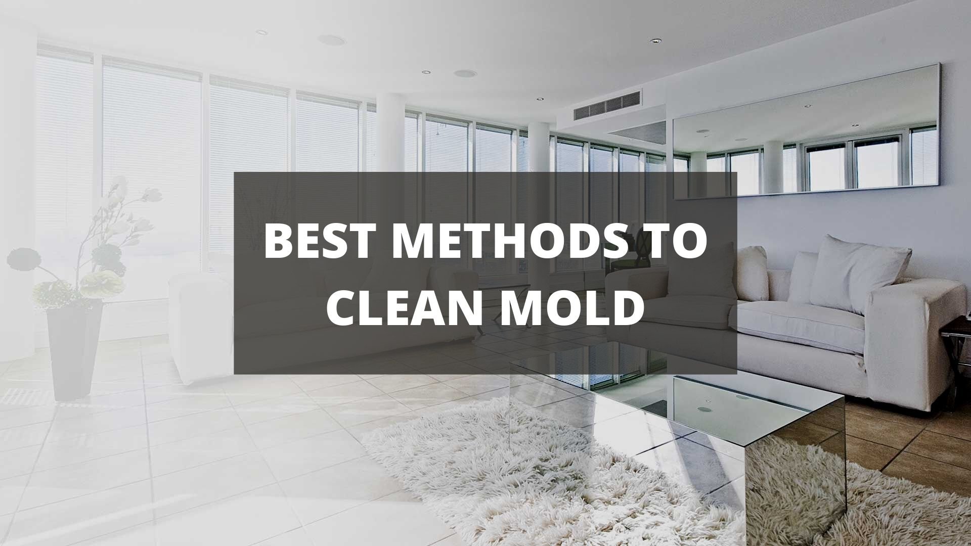 How to Remove Mold From Walls With Vinegar