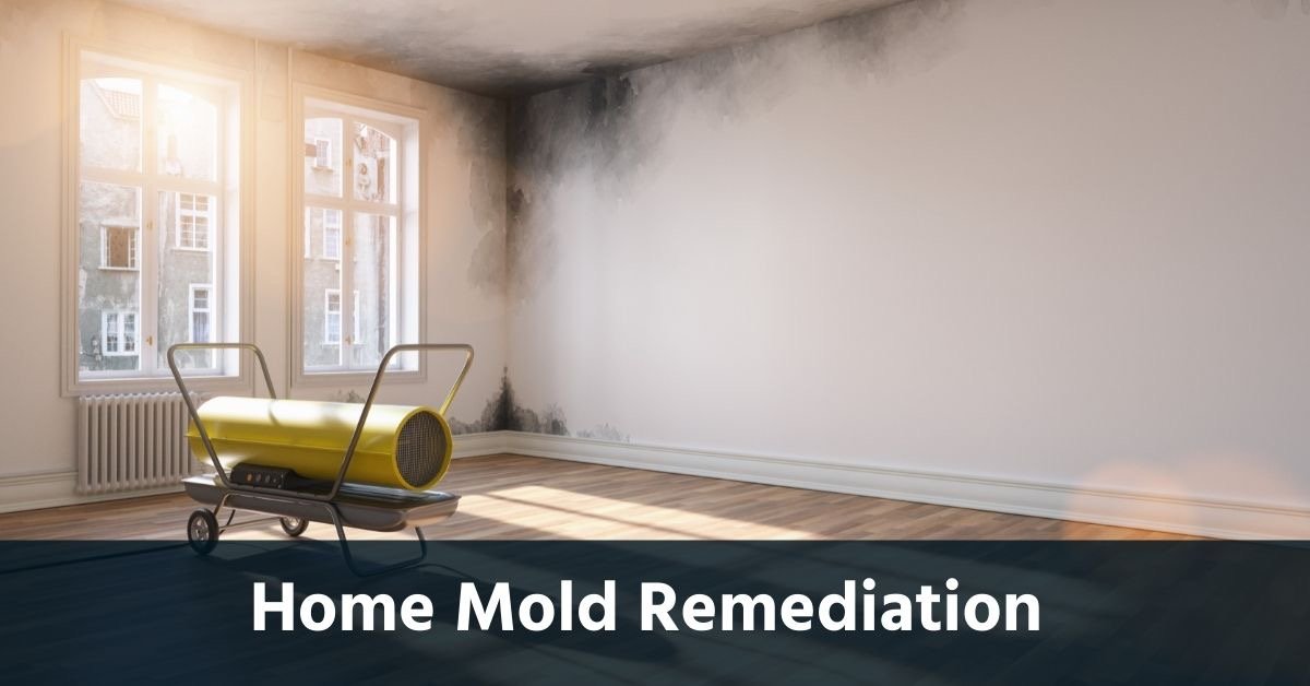 Can you stay in home during mold remediation?