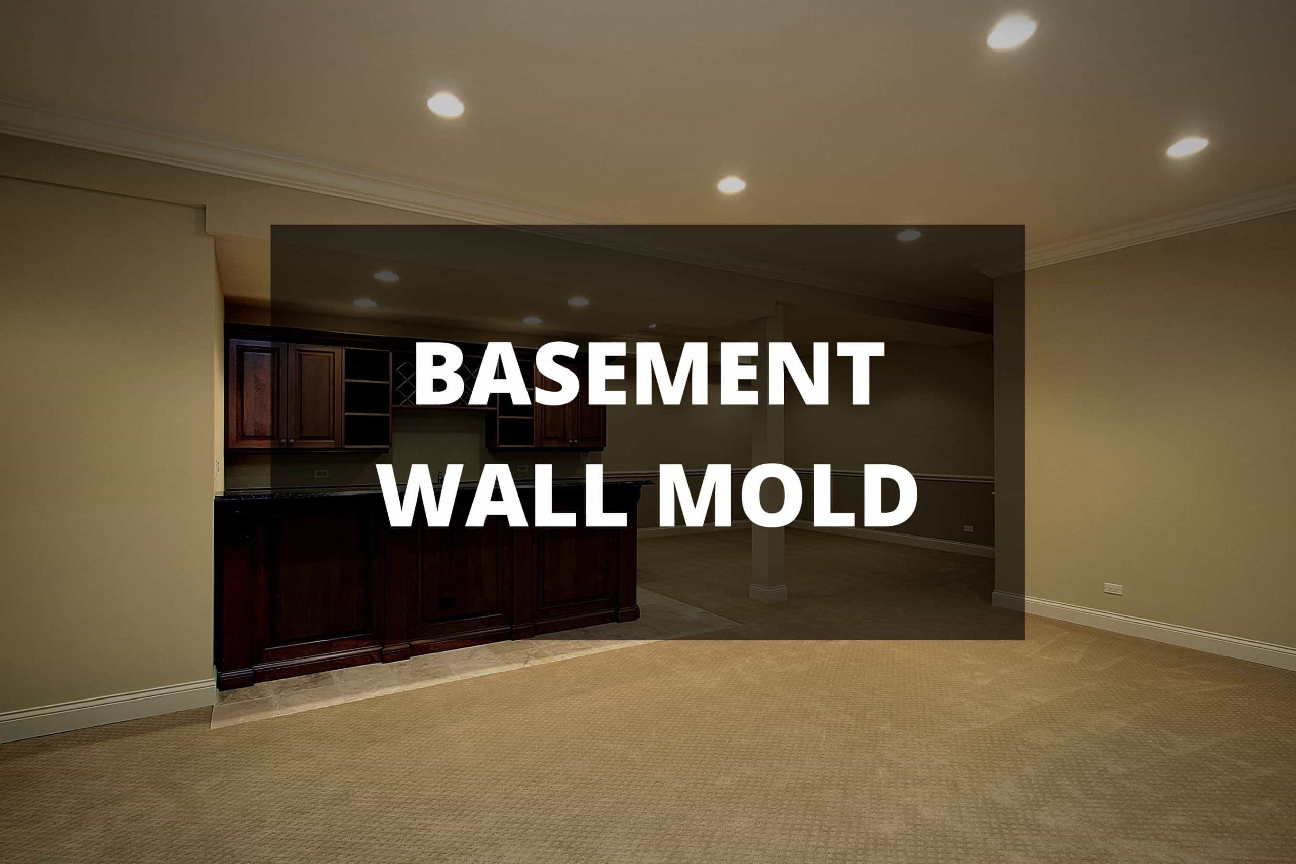 How to Remove Mold From Basement Wall: Expert Guide