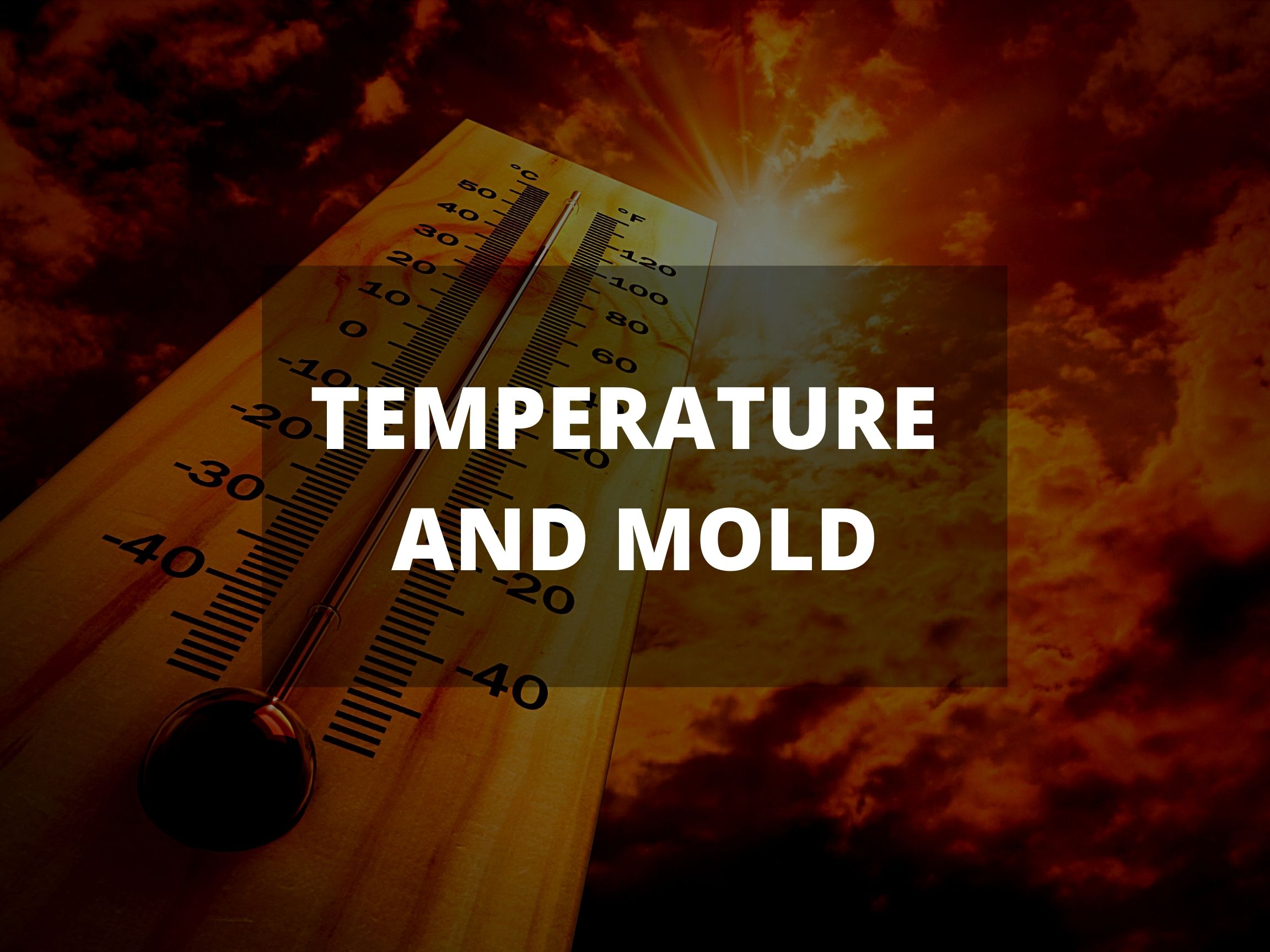 At What Temperature Does Mold Grow?