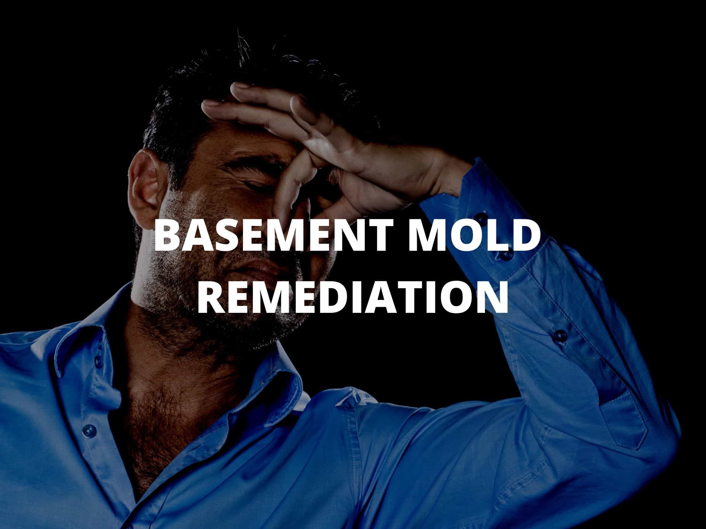 How To Get Rid of Mold Smell in Your Basement