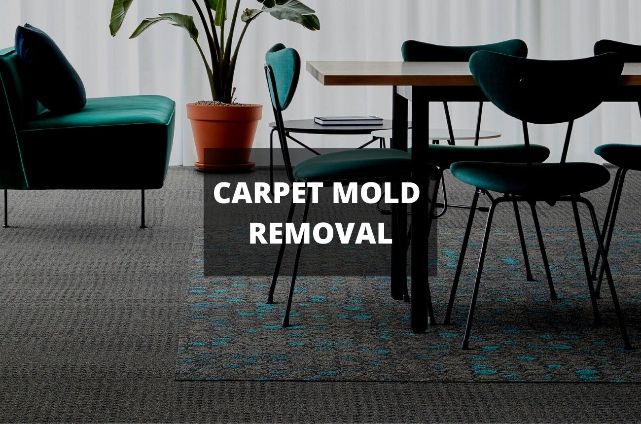 How To Remove Mold From Carpet With Vinegar