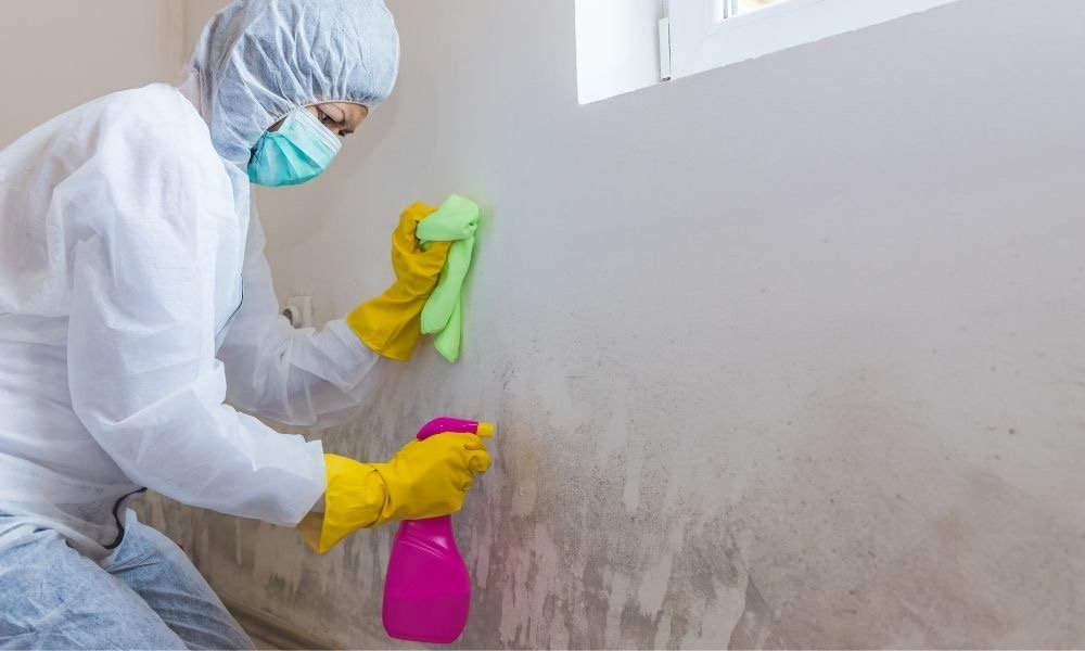 mold safety precautions