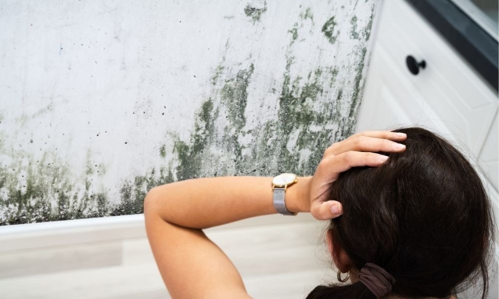 staying home with mold