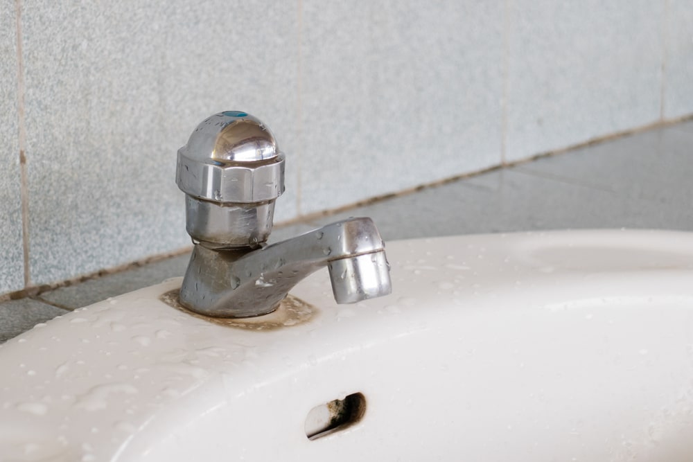 black mold on faucet
