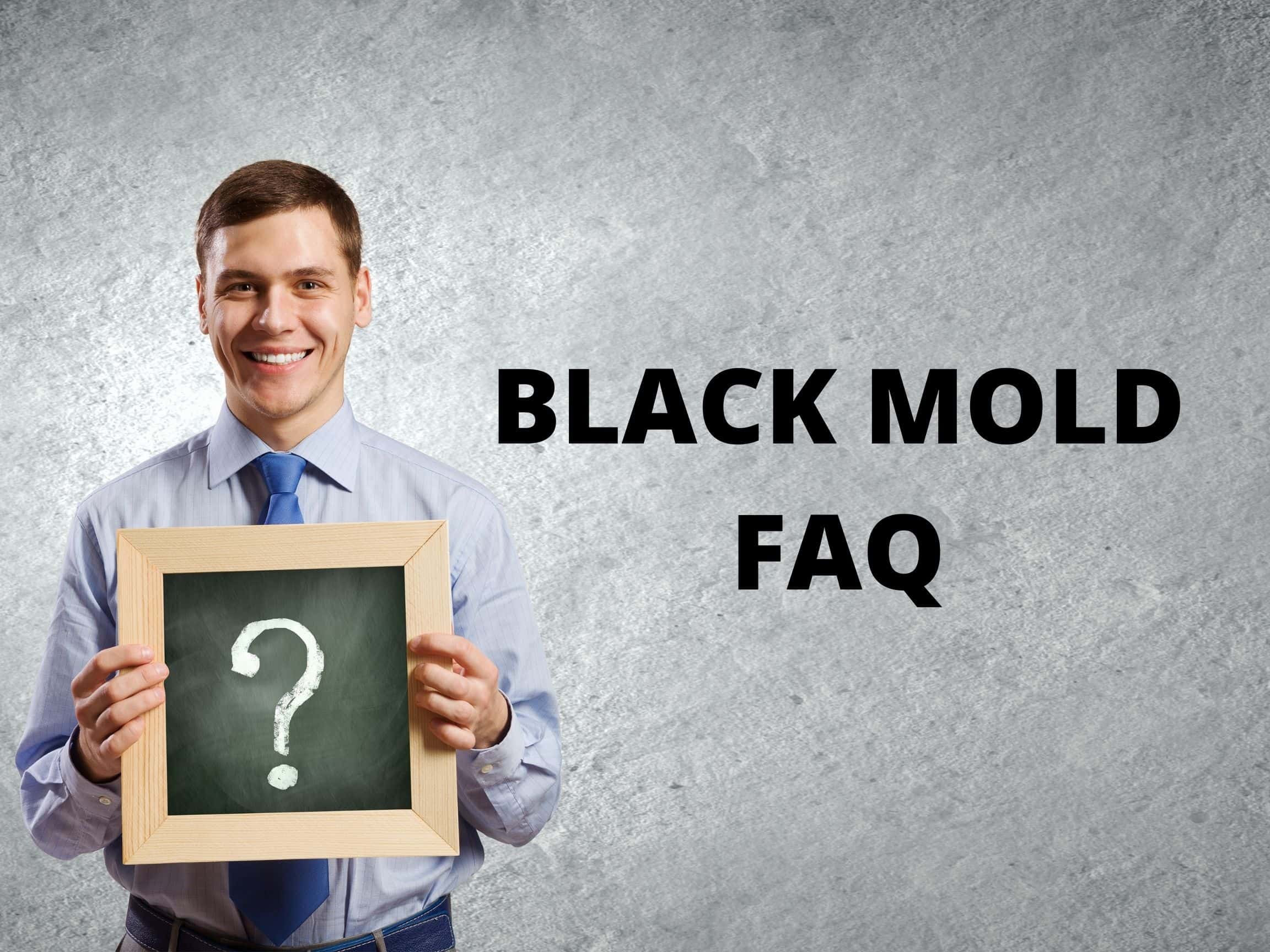 Black mold questions and answers