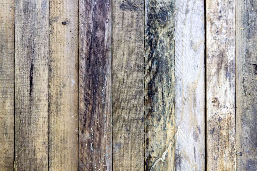 moldy wooden wall