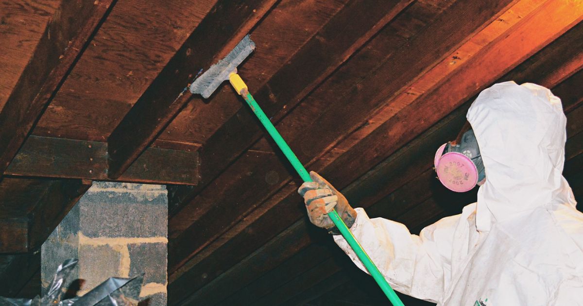 mold remediation crawl space