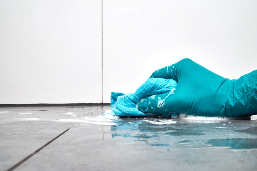 bathroom window mold remediation