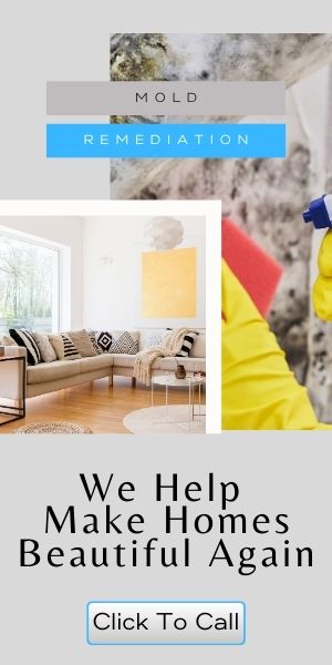 mold on windows