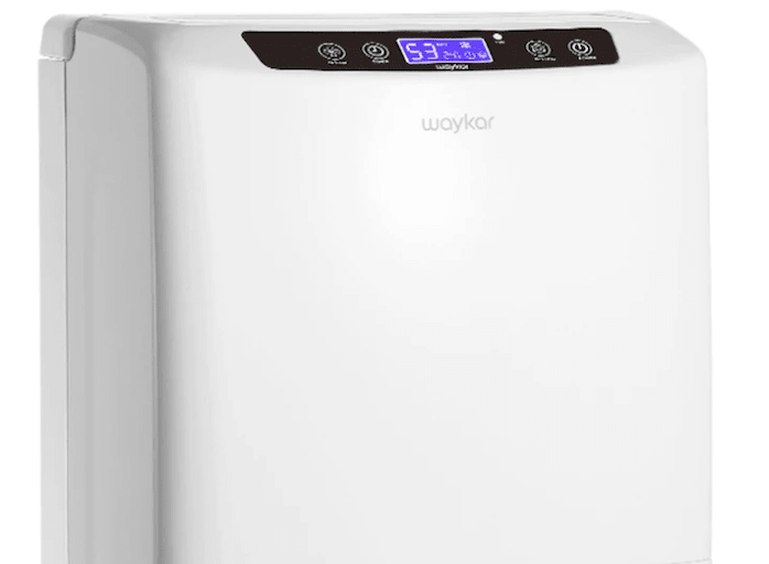 dehumidifiers for mold