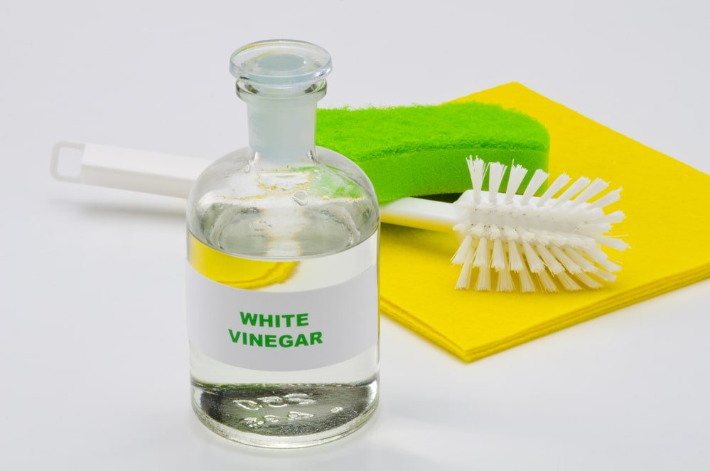 white vinegar for mold removal