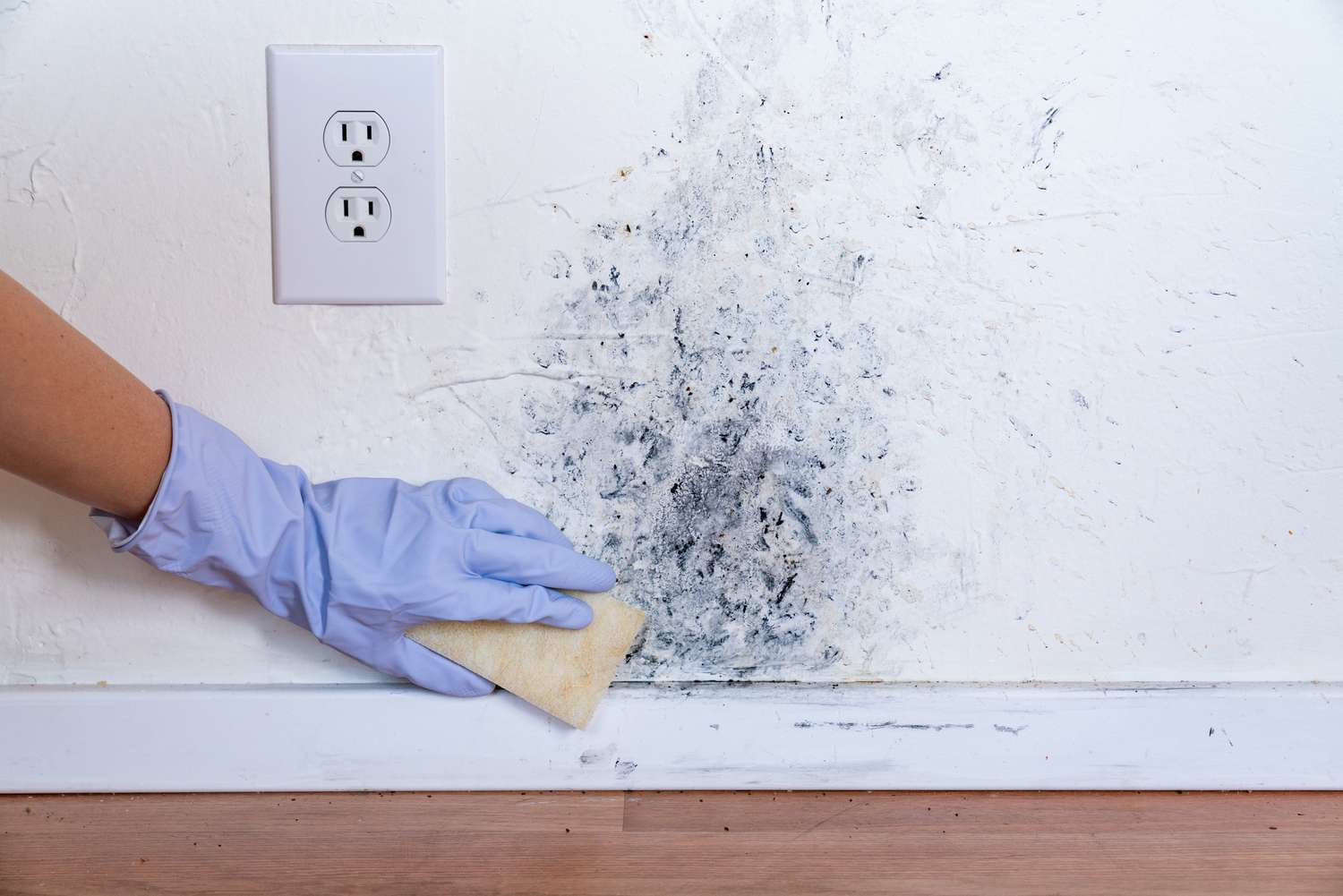 mold-on-painted-wall
