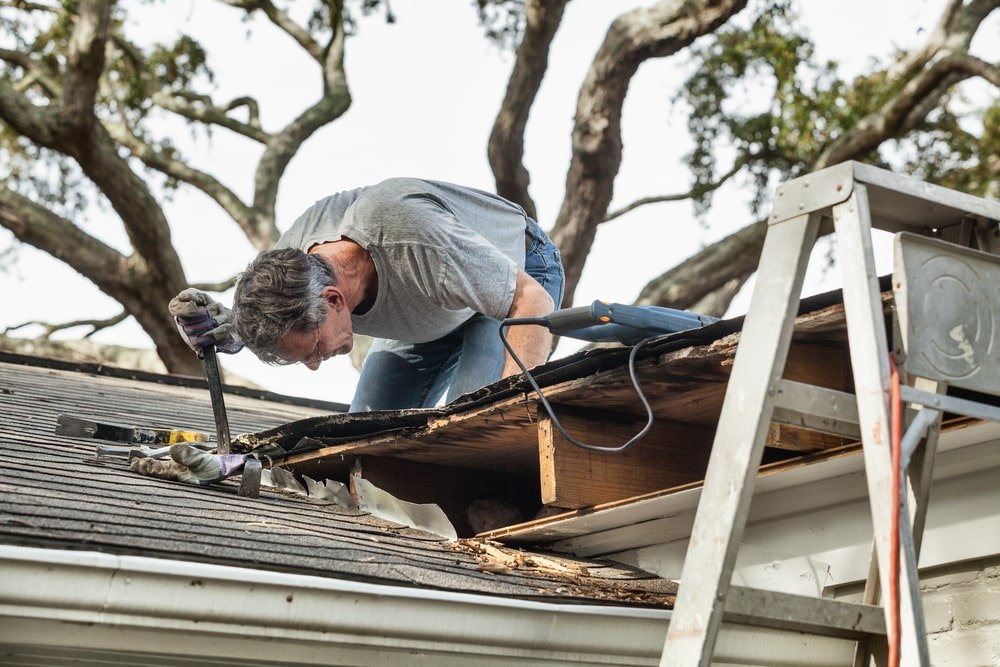 roof with mold growth