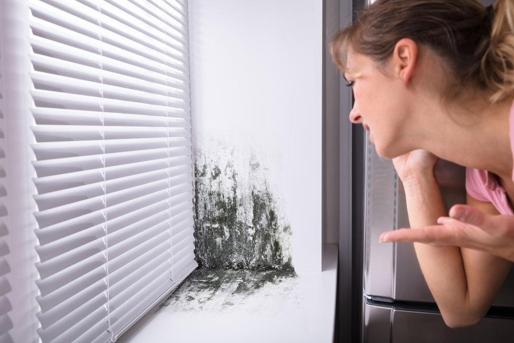 temperatures and mold
