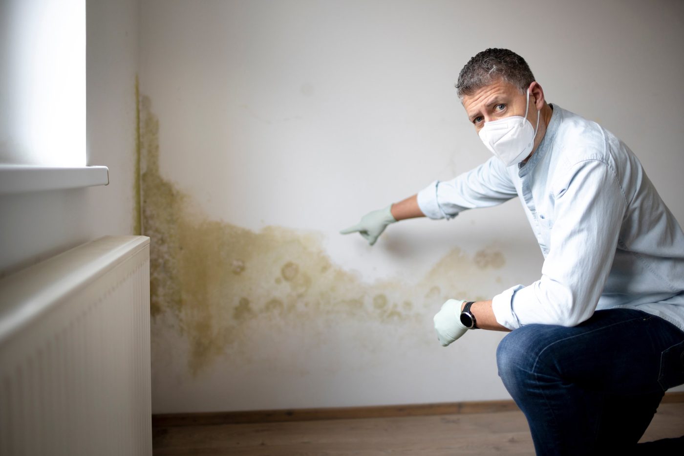 Mold remediation across Nevada
