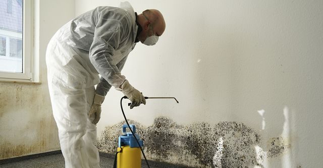 Mold remediation across Florida