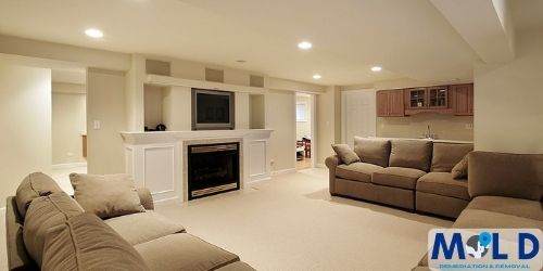 Basement Mold Removal